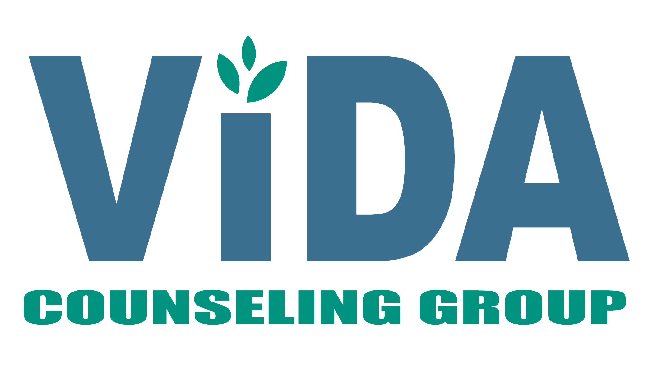 Vida Counseling Group